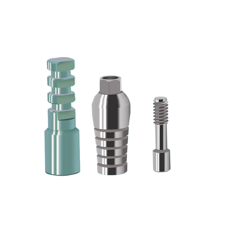 China Professional Dental Abutment Supplier